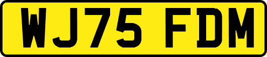 WJ75FDM