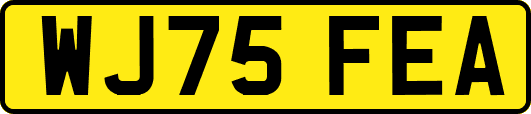WJ75FEA