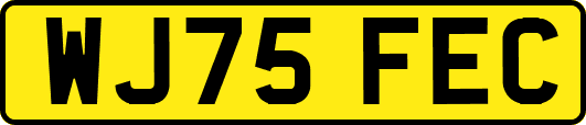 WJ75FEC