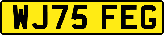 WJ75FEG