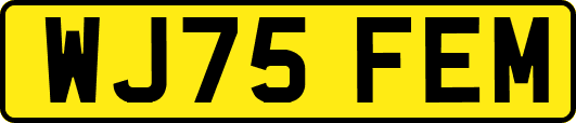 WJ75FEM