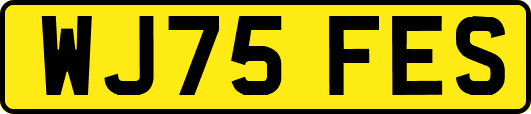 WJ75FES