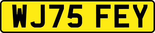 WJ75FEY