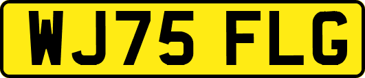 WJ75FLG