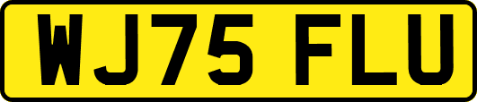 WJ75FLU