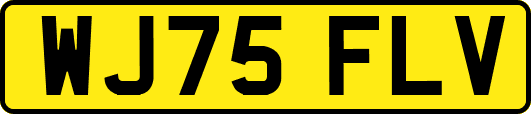 WJ75FLV