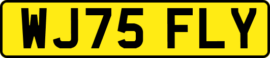 WJ75FLY
