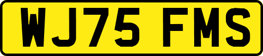 WJ75FMS
