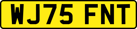 WJ75FNT