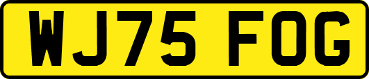 WJ75FOG