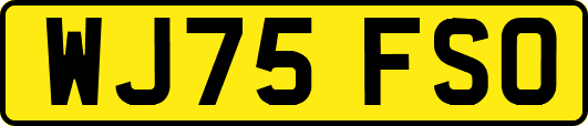 WJ75FSO
