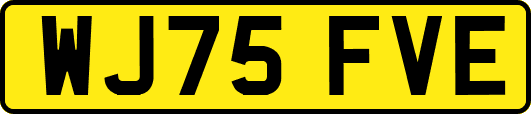 WJ75FVE