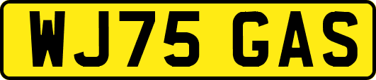 WJ75GAS