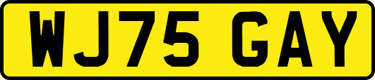 WJ75GAY