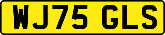 WJ75GLS