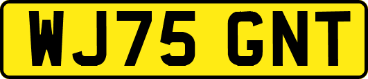 WJ75GNT