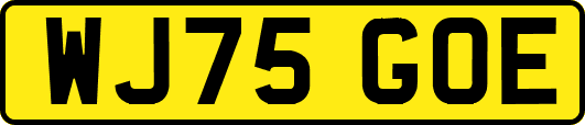 WJ75GOE