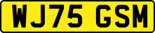 WJ75GSM