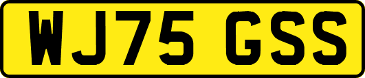 WJ75GSS