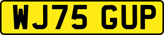 WJ75GUP