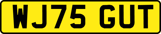 WJ75GUT