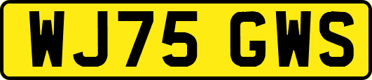 WJ75GWS