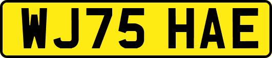 WJ75HAE