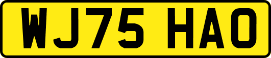 WJ75HAO