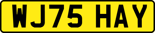 WJ75HAY