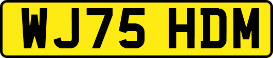 WJ75HDM