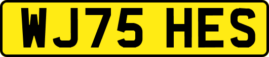 WJ75HES