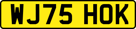 WJ75HOK