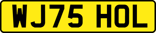 WJ75HOL