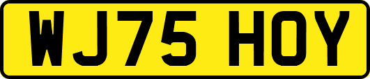 WJ75HOY