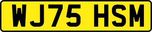 WJ75HSM