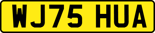 WJ75HUA