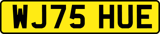 WJ75HUE