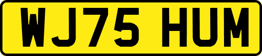 WJ75HUM