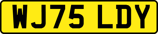 WJ75LDY