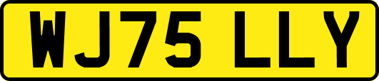 WJ75LLY