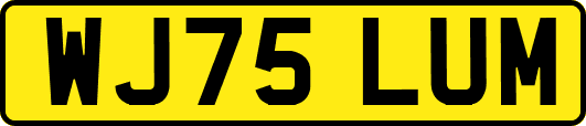 WJ75LUM