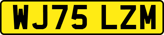 WJ75LZM