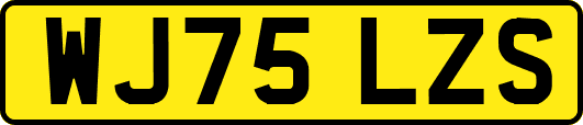 WJ75LZS