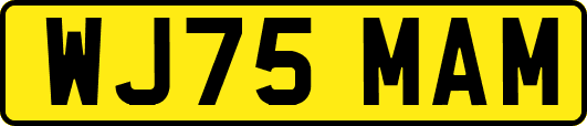 WJ75MAM