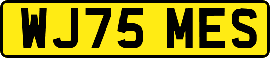 WJ75MES