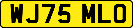 WJ75MLO