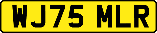 WJ75MLR
