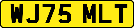 WJ75MLT
