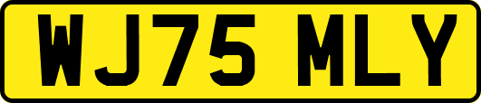 WJ75MLY