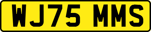 WJ75MMS